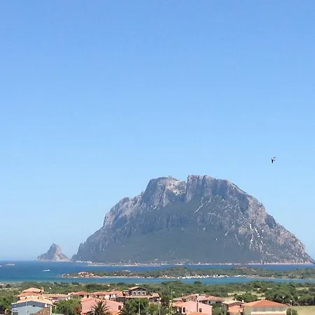 Case Rosa Porto San Paolo (Sardinia)