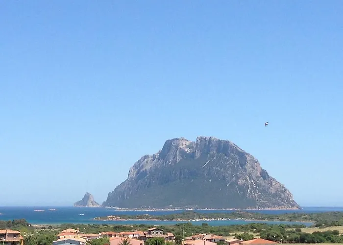 Case Rosa Porto San Paolo (Sardinia)